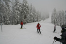 Opening weekend 2010